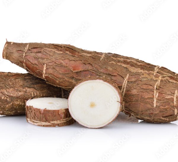 Cassava Cupa Fresh